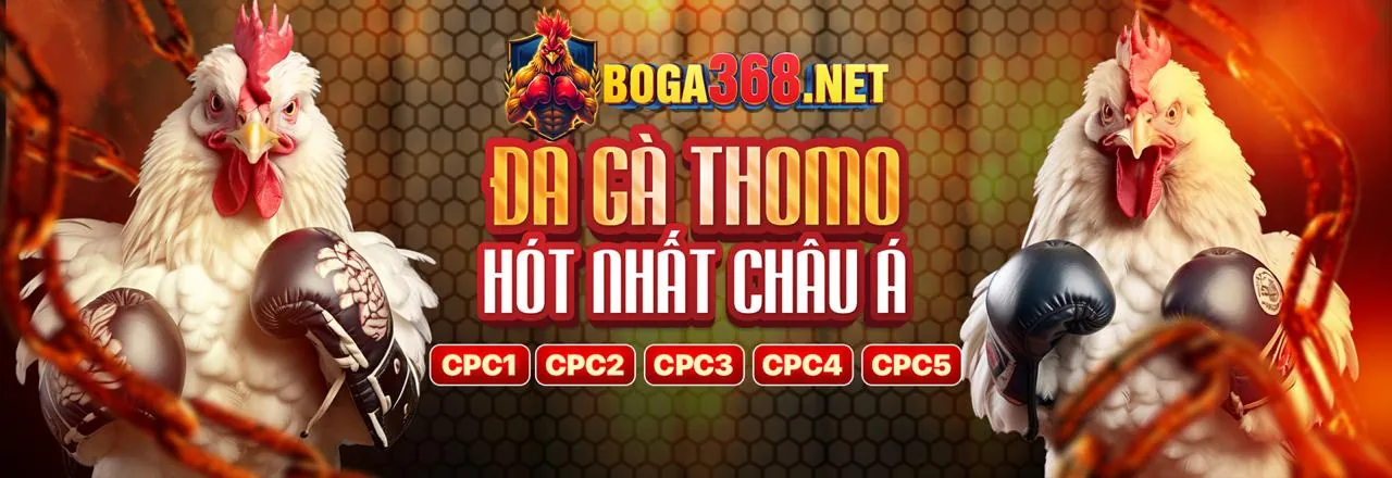 Sân đấu đá gà trực tuyến 78win8 với khuyến mãi hấp dẫn
